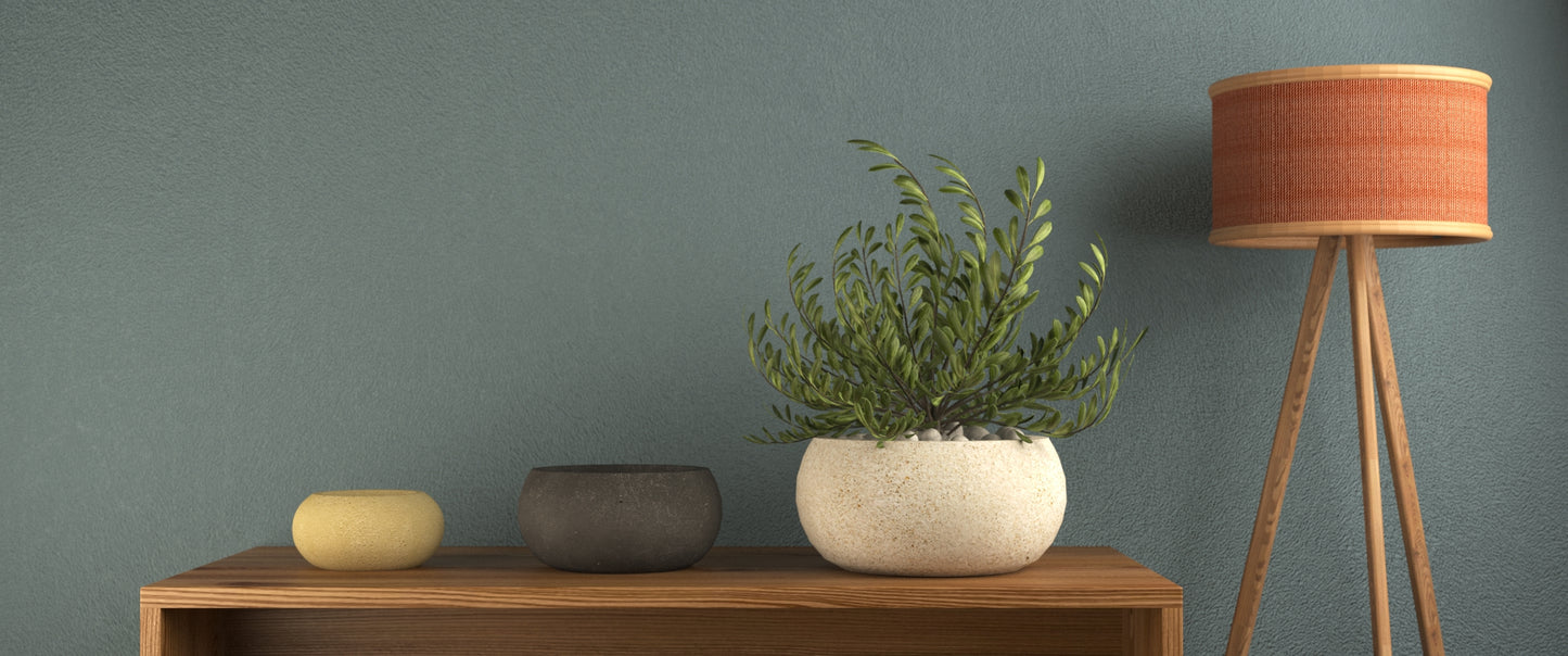 Bonsai