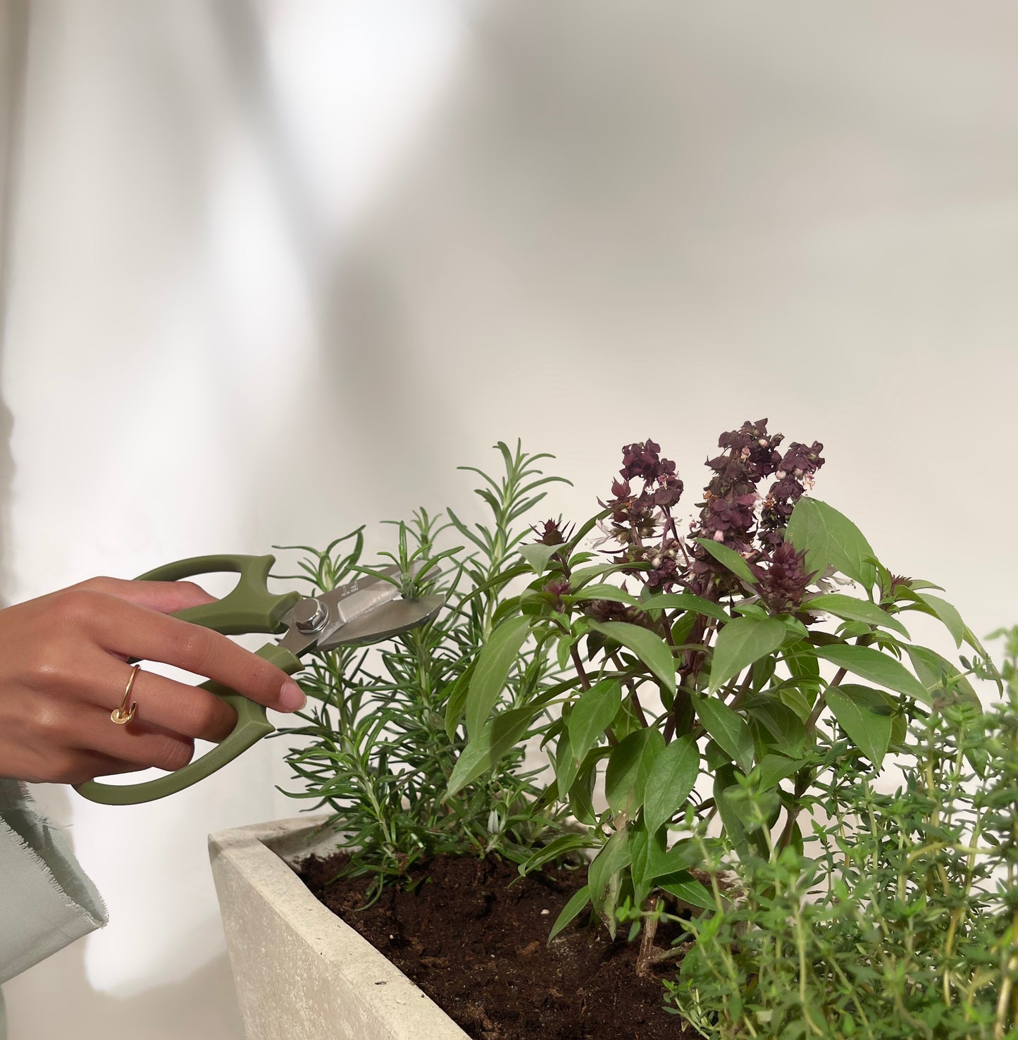 Garden shears