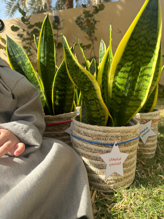 قرقيعان '٤٧🌙